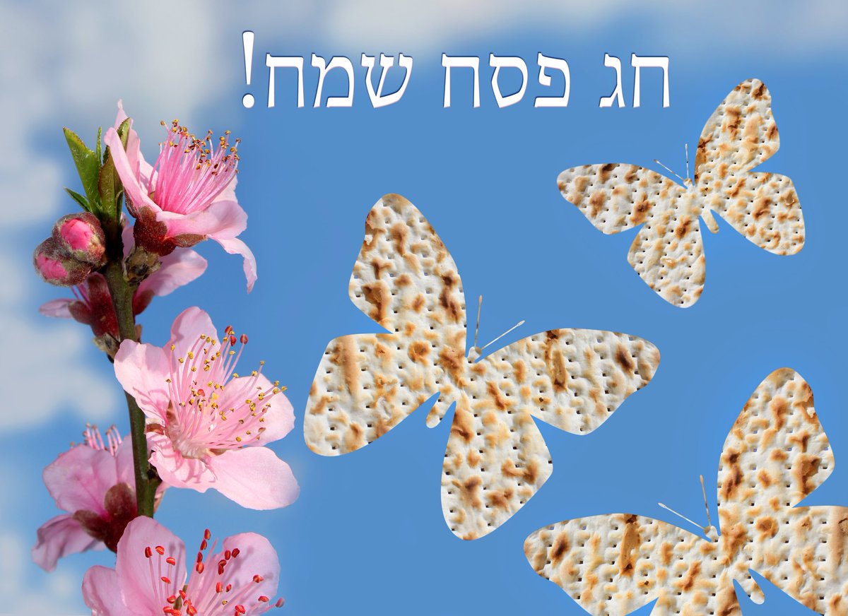 https://www.pulseem.co.il/Pulseem/ClientImages/12023///2%20%D7%A4%D7%A8%D7%A4%D7%A8.jpg