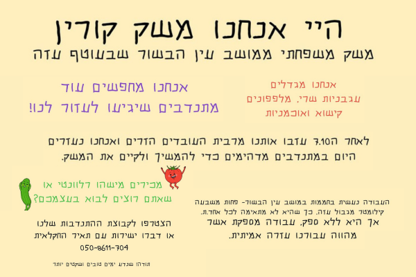משק קורין